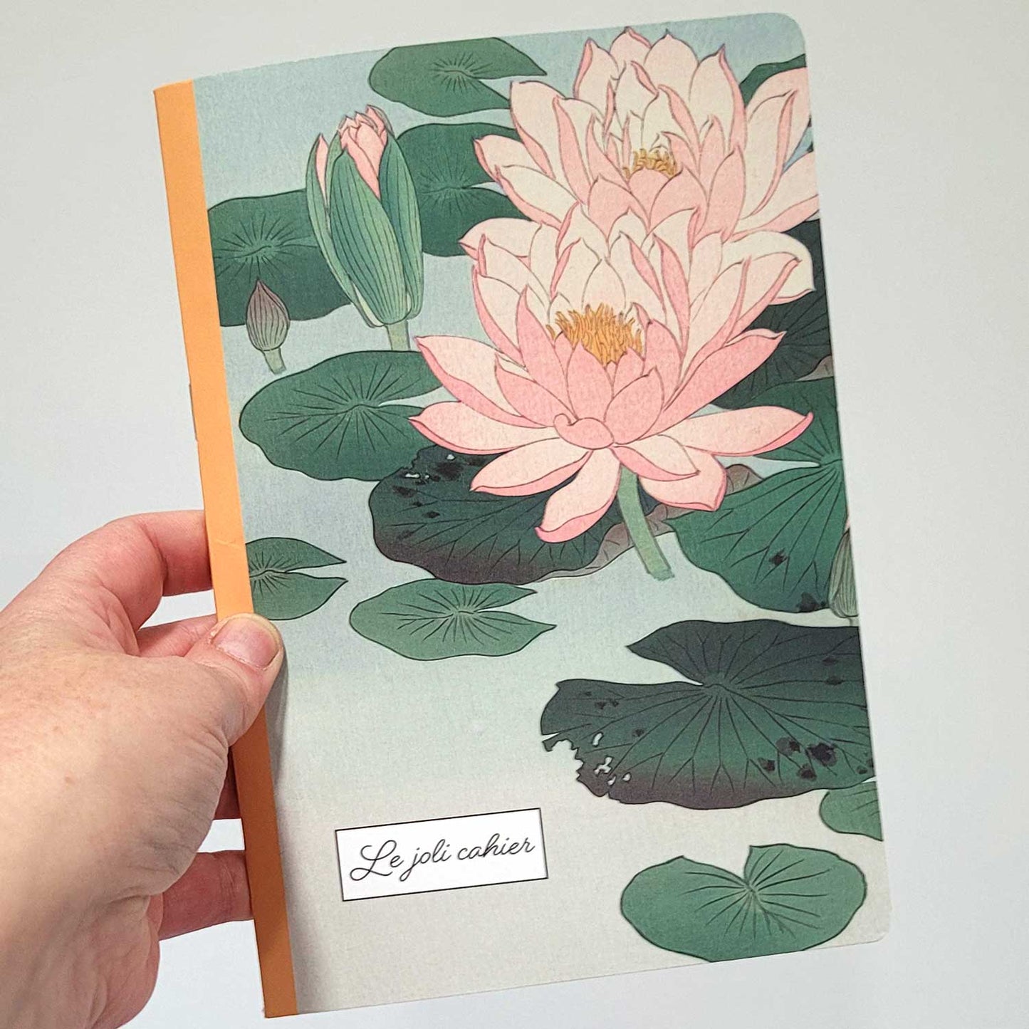 carnet fantaisie pages lignées taille a5 illustration vintage