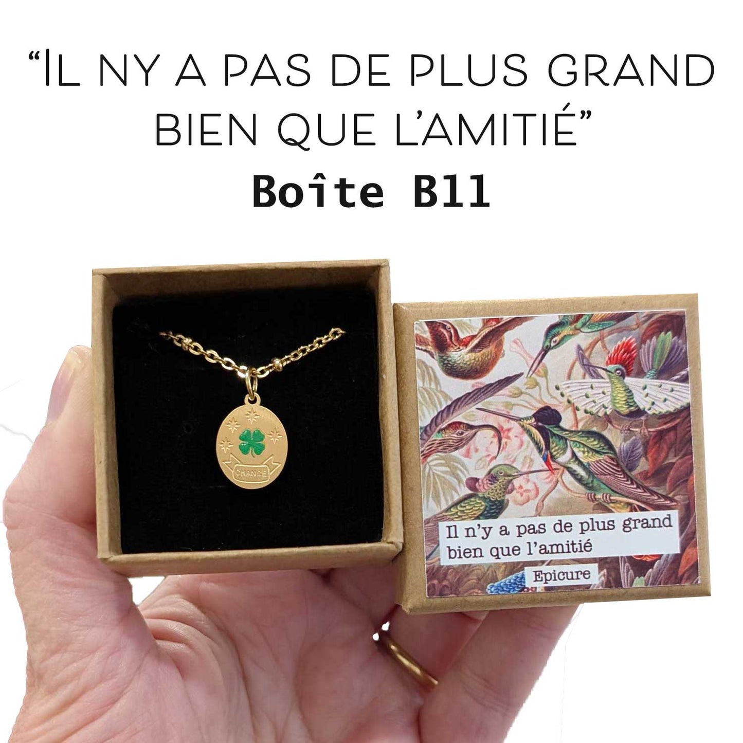 Collier porte bonheur à offrir avec un médaillon avec un trèfle à quatre feuilles
